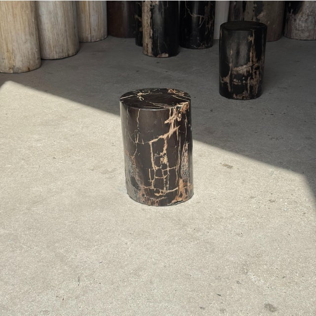 Stone Small Side Table in Black Petrified Wood with Beige Striations For Sale - Image 7 of 18