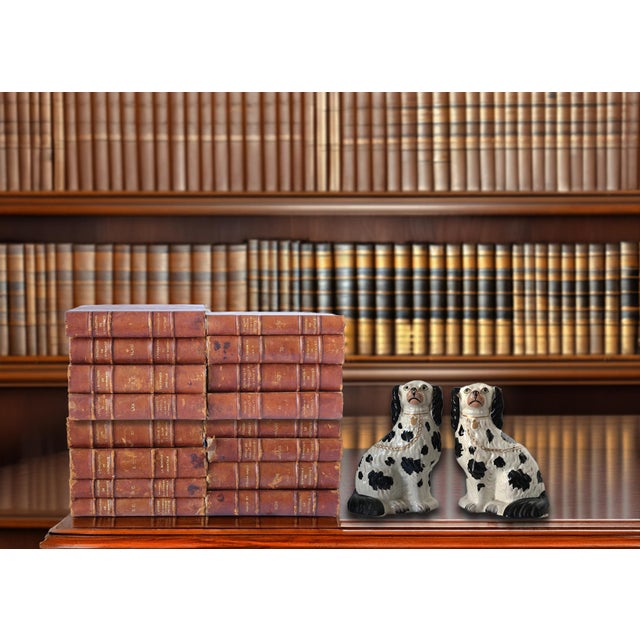 1920 French Evolution of Humanity Books For Sale In Los Angeles - Image 6 of 9