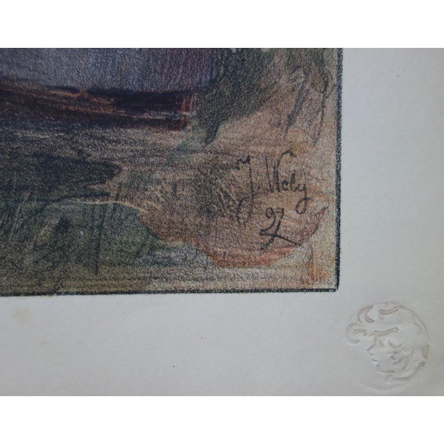 Jacques Wely Heathland Flower, 1897 Original colour lithograph on fine wove paper Signed in the plate Dimensions: 31 x 40...