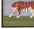 Matt Rix, Bengal Tigers Facing Left and Right, 2000s, Oil For Sale - Image 9 of 17