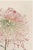 Japanese Asian Mum by Hasegawa, Vintage Japanese Botanical Art Print, 20" X 30" For Sale - Image 3 of 9