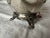 Silverplated Footed Water Pitcher by Rogers For Sale In Chicago - Image 6 of 12