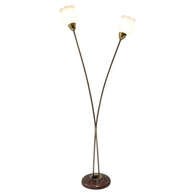 Mid-Century Floor Lamp by Kamenicky Senov, 1960s For Sale - Image 10 of 10