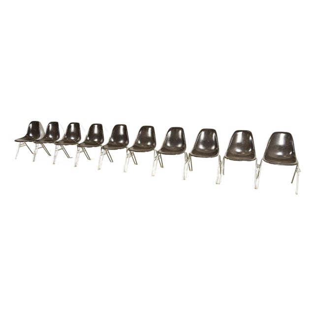 Charles & Ray Eames for Herman Miller DSS Seal Brown Stacking Shell Chairs | Set of Ten For Sale