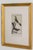 19th Century Set of Framed Avian / Bird Engravings For Sale - Image 11 of 11