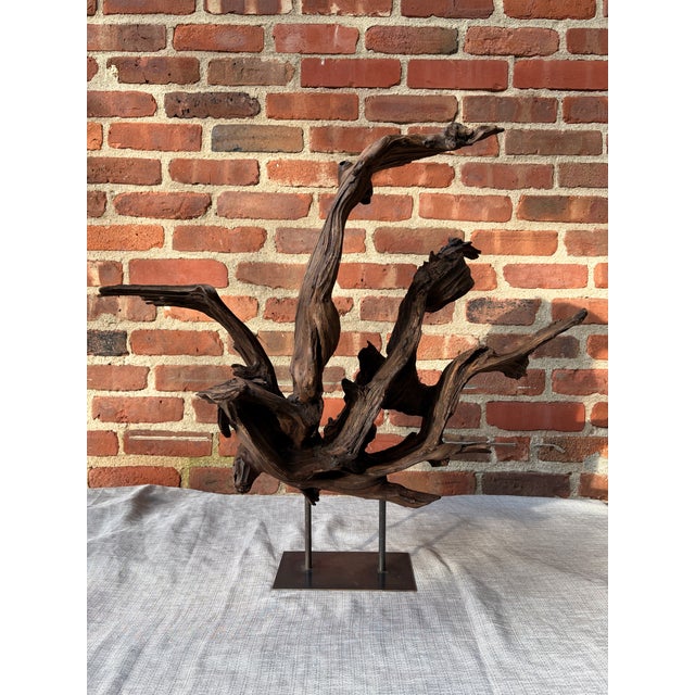 Vintage Teak Wood Root Sculpture on Metal Stand For Sale - Image 4 of 17