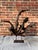 Vintage Teak Wood Root Sculpture on Metal Stand For Sale - Image 4 of 17