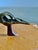 1980s Studio Craft Maple + Walnut + Bronze Skull Artist-Made Box Sculpture For Sale - Image 5 of 14