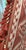 2020s Pair of Cowtan & Tout Drapery Panels With Tassel Fringe For Sale - Image 5 of 11
