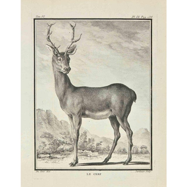 Claude Jardinier, Le Cerf, Etching, 1771 For Sale