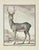 Claude Jardinier, Le Cerf, Etching, 1771 For Sale