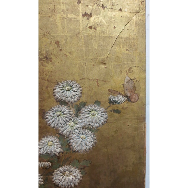 1700 Edo Japan panel of Chrysanthemum on gold leaf. Mounted on Japanese braces and framed in Japan in the early 20th...