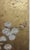 1700 Edo Japan panel of Chrysanthemum on gold leaf. Mounted on Japanese braces and framed in Japan in the early 20th...