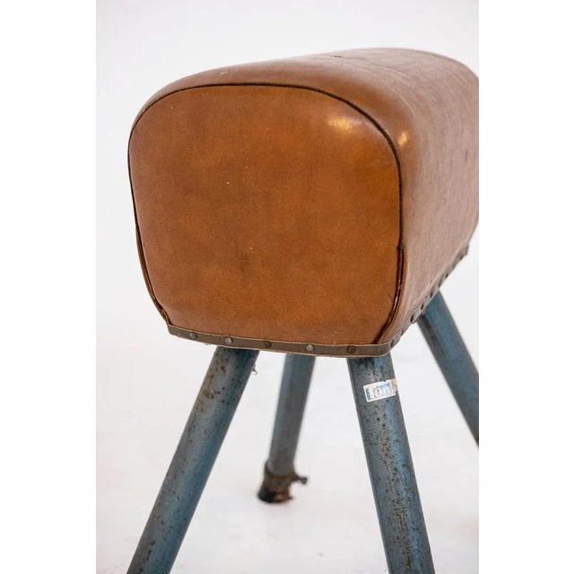 Brown Leather and Varnished Iron Italian Exercise Horse, in Very Good conditions. Designed 1950 to 1959 I have official...