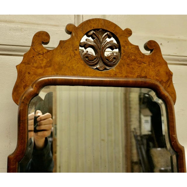 Late 19th Century Antique Burr Walnut Wall Hanging Mirror, 1880s For Sale - Image 5 of 7