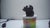 Royal Copenhagan VTG Collectible Set - Royal Copenhagen Set of 6 Bear Cub Figurines by Knud Kyhn For Sale - Image 4 of 10