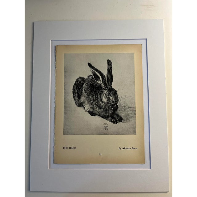 1942 Hare After Albrecht Durer Print For Sale - Image 4 of 4
