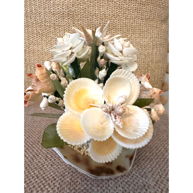 Vintage Seashell Flower Arrangement – Peach & Ivory Coastal Shell Art Sculpture For Sale In Raleigh - Image 6 of 8
