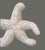 Nautical Vintage Nautical Coastal Décor Woven Wicker Wall Hanging Star Fish For Sale - Image 3 of 8