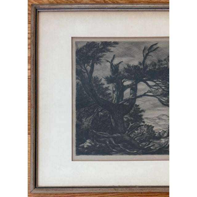 American Sam Thal (1903-1964) Fine Drypoint Etching, Framed For Sale - Image 3 of 7