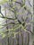 Forest Landscape, 1960s, Oil Painting For Sale - Image 4 of 14