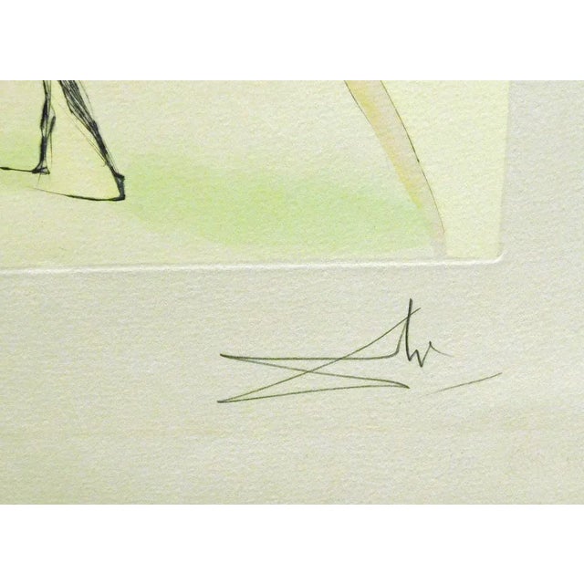 1970s Salvador Dali "Le Singe Et Le Leopard"unframed Authentic Artwork For Sale - Image 5 of 7
