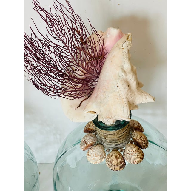 Fabulous Pair of Sea Shells Glass Demijohn Bottles For Sale - Image 4 of 9