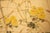 Beige "Tit and Chrysanthemums", Showa Era Japanese Painted Silk Bybu Screen For Sale - Image 8 of 18