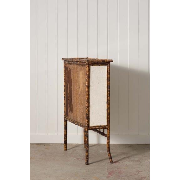 English 19th Century Tortoise Bamboo 2-Door Glass Front Cabinet For Sale - Image 3 of 10