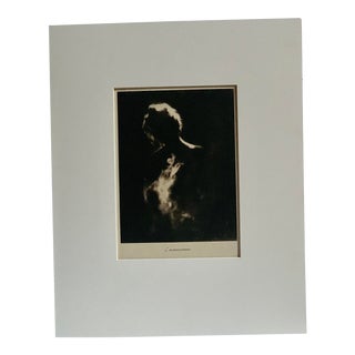 2011 "Amoroso Tormento (Vida)" Photogravure Numbered 36/50 by Josephine Sacabo For Sale