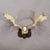 Antique Black Forest Fallow Deer Trophy, Germany ca.1900 For Sale - Image 4 of 6