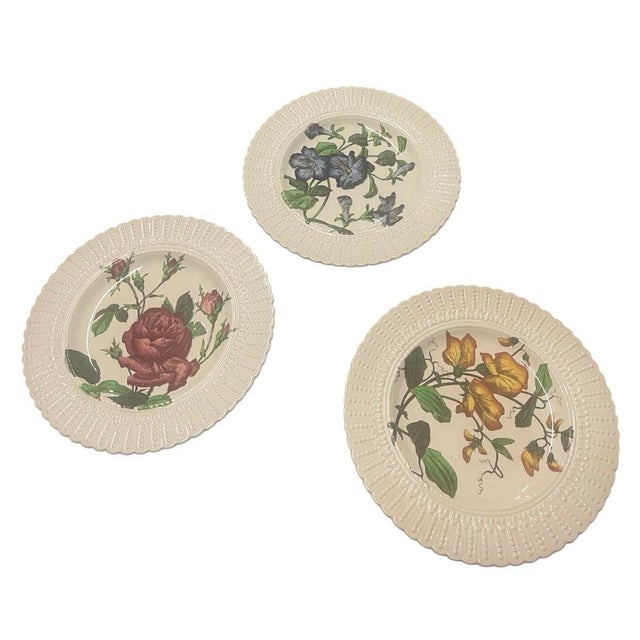 1920s Set of 12 Antique Cauldon Ltd. England Botanical Porcelain Plates, Circa 1905–1920 For Sale - Image 5 of 12