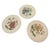 1920s Set of 12 Antique Cauldon Ltd. England Botanical Porcelain Plates, Circa 1905–1920 For Sale - Image 5 of 12