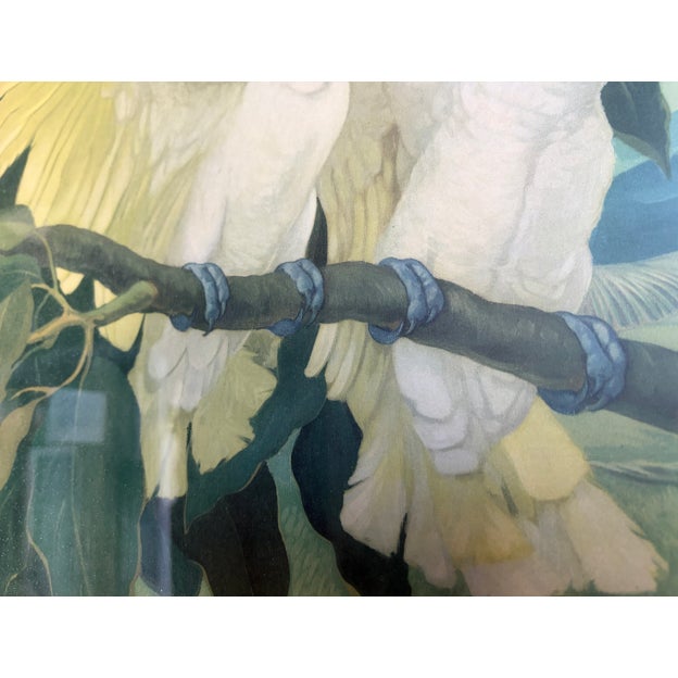 Vintage Mid-Century Jessie Arms Botke “Royal Cockatoos” Lithograph in Bamboo Frame For Sale - Image 4 of 6