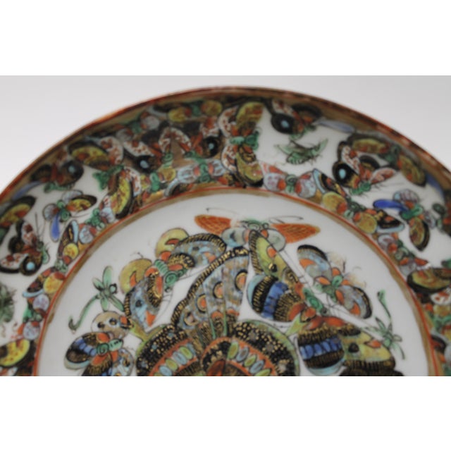 Ceramic 19th-Century Chinese Export Porcelain Plates in the Popular "Thousand Butterfly" For Sale - Image 7 of 9