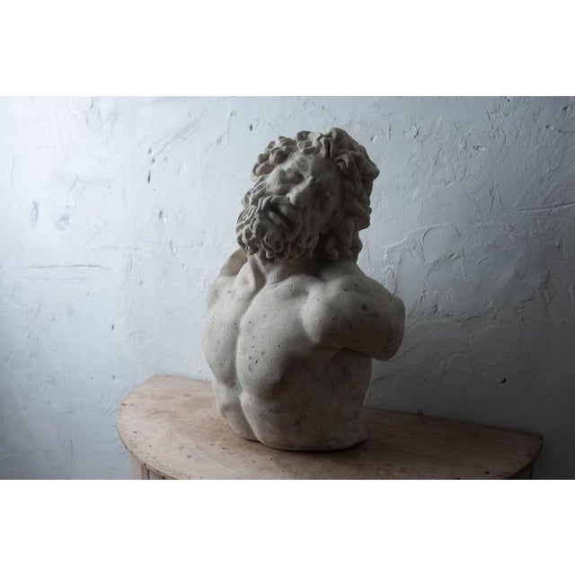 Mid 20th Century Bust of Laocoön, After the Antique, 20th Century For Sale - Image 5 of 12