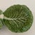 Green Cabbageware, Double Sided Serving Dish, Made in Portugal For Sale - Image 4 of 6