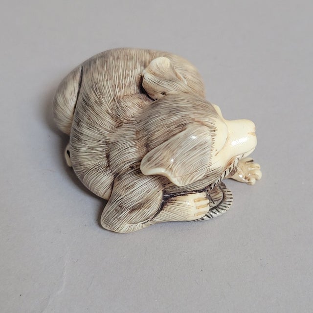 Pair of Carved Faux Ivory Dog Netsuke-Style Miniatures For Sale In Raleigh - Image 6 of 9