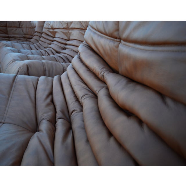 Brown Togo Sofa Set by Michel Ducaroy for Ligne Roset in Brown Leather, Set of 5 For Sale - Image 8 of 10