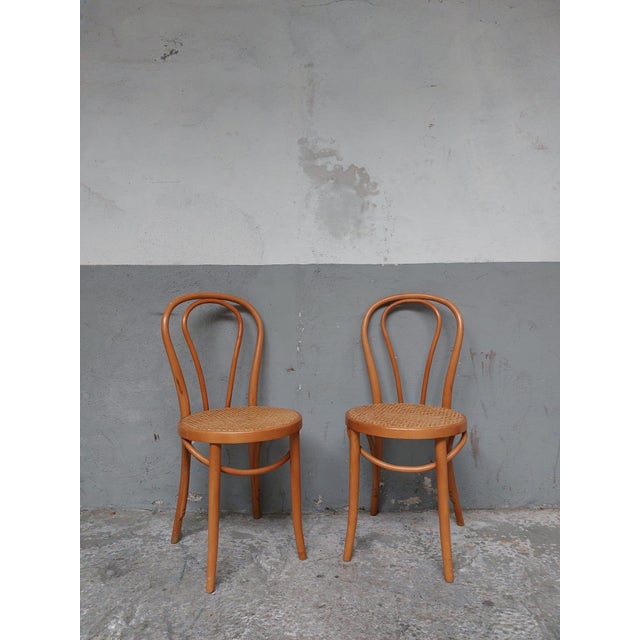 Set of Bentwood Webbing Dining Chairs For Sale - Image 16 of 16