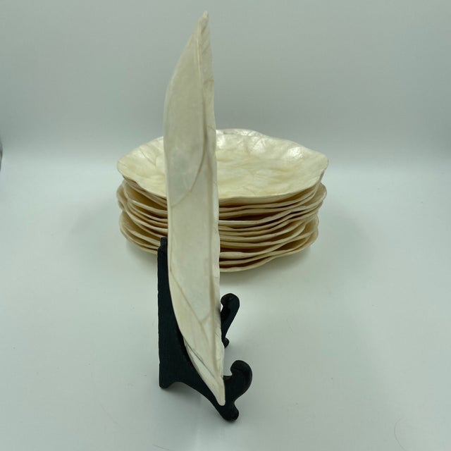 1970s Vintage Capiz Shell Dishes – Set of 12 | Iridescent Coastal Entertaining For Sale - Image 5 of 11