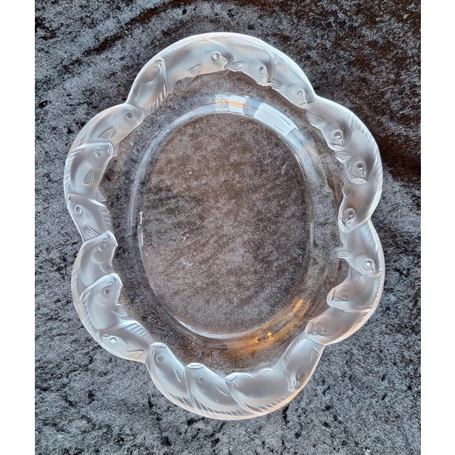 Vintage French Fish Serving Platter in Satin-Finished Crystal Glass by Lalique, 1970s For Sale - Image 6 of 6
