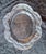 Vintage French Fish Serving Platter in Satin-Finished Crystal Glass by Lalique, 1970s For Sale - Image 6 of 6