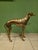 Brass Greyhound Sculpture, 1920s For Sale - Image 4 of 18
