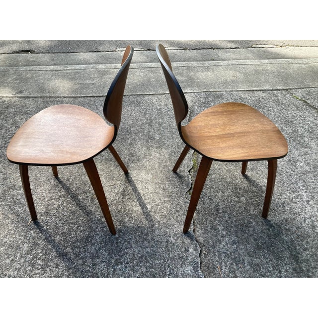 1950s Mid-20th Century Bent Plywood Side Chairs in the Style of Norman Cherner - a Pair For Sale - Image 5 of 11