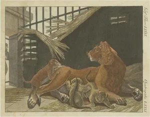 After Bertuch, Lion and Lion Cubs, 1790s, Engraving on Paper