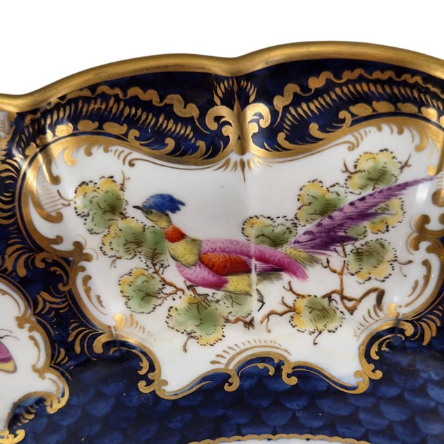 Blue Scale Cabinet Dish with Exotic Birds from Royal Worcester, 1901 For Sale - Image 9 of 11