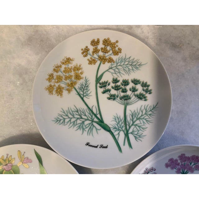 Horchow Collection Herb Plates, a Set of 5 For Sale - Image 9 of 10