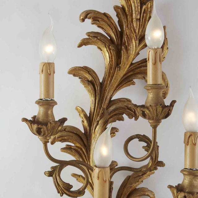 Pair of large Florentine Louis XV style wall sconces, carved and gilded with rocaille plant motifs. Featuring four curved...