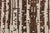 Contemporary Anatolia Traditional Wool Rug by Doris Leslie Blau For Sale - Image 4 of 14
